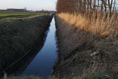 Bild: Wether Wettern am Depenbeker Deich